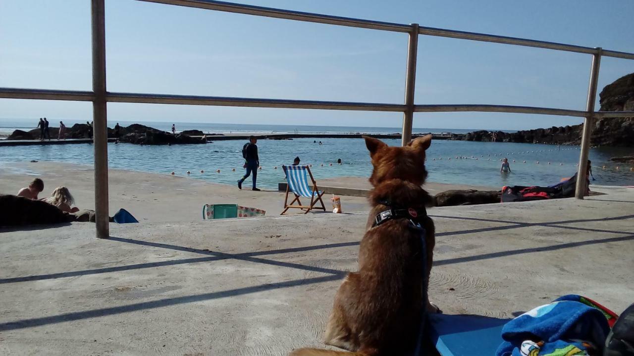 Atlantica Villa Bude Kültér fotó